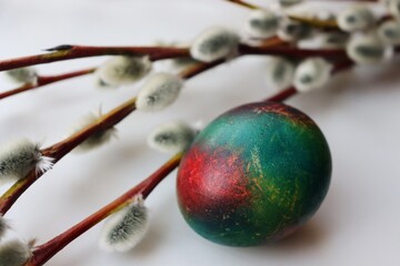 Painted Easter egg and pussy willow branches