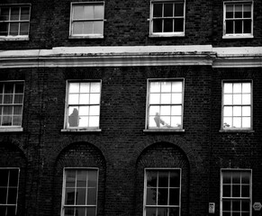 windows of an building