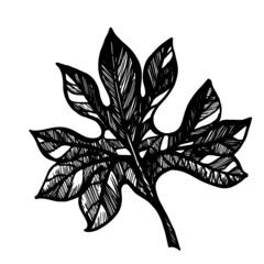 hand drawn flower leaf