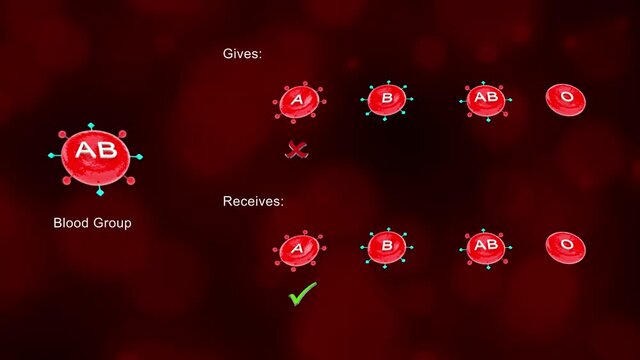 Blood donor and acceptor