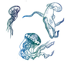 hand drawn octopus, jellyfish