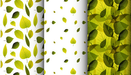Three various green leaves spring nature pattern