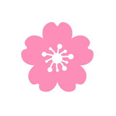 Cherry blossom vector Pink cherry blossoms blooming Isolated on white background