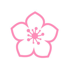 Cherry blossom vector Pink cherry blossoms blooming Isolated on white background