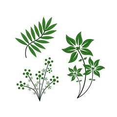 vector graphic of flower fresh green plant nature ornament decoration border pack