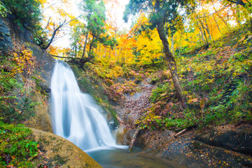 Waterfall among many foliages, In the fall, leaves Leaf color change In Yamagata, Japan