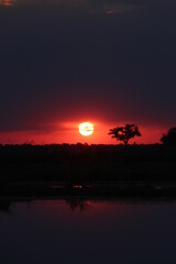 beautiful sunset at the okavango river in namibia