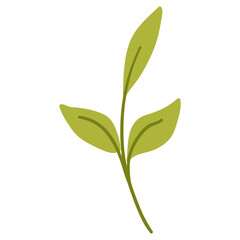 Fototapeta premium Cute green leaf in flat style