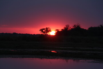 Fototapeta na wymiar beautiful sunset at the okavango river in namibia