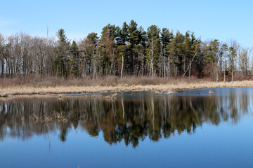 Marsh Scenery on a beautiful spring day in bright sun
