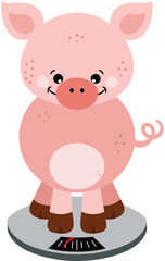 Curious cute pig weighing himself