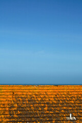 Fototapeta premium orange wall and sky