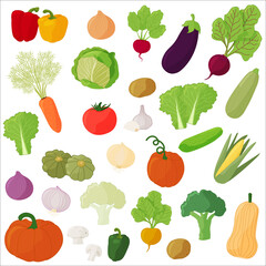 Large set of vegetables, healthy food. Green vegetables, cucumber, tomato, lettuce, beetroot, turnip, carrot. Cartoon vector illustration on a white background. 