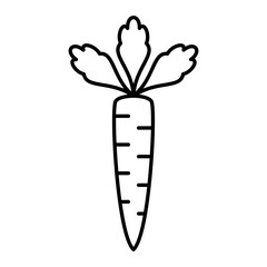 Vector Carrot Outline Icon Design