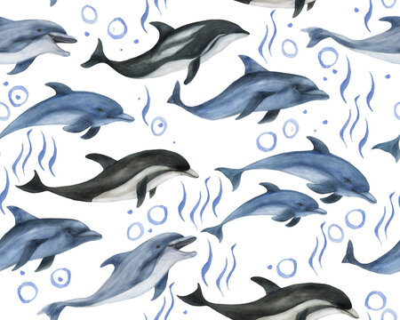 Watercolor painting seamless pattern with dolphins