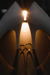 Beautiful background with wedding rings