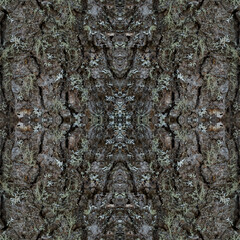 Seamless wallpaper image of spruce tree bark with different types of lichen. Abstract patterns are created by the interplay between the bark and pale green lichen.
