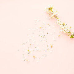 Flowers petels and fruit twigs in spring on pastel pink background,flat lay