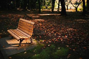 bench in the park