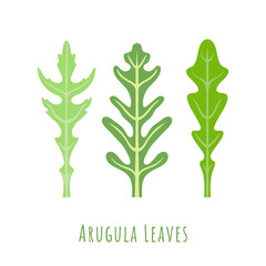 Three isolated different leaves of the Rucola