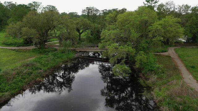 City Park view of New Orleans skyline from a drone