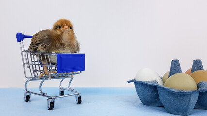 chicken in a grocery cart
