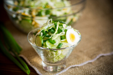 spring salad with early cabbage, cucumbers, eggs and green onions