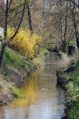 Rodau bei Ober-Roden im Fruehling