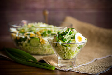 spring salad with early cabbage, cucumbers, eggs and green onions