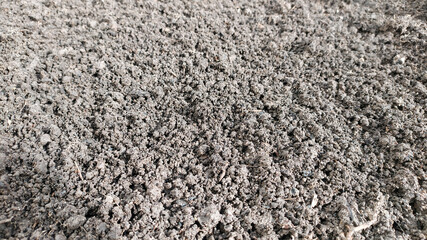 Plowed land close-up. Ground texture. The soil is prepared for planting seedlings of vegetables and berries. Farming gardening in agriculture.