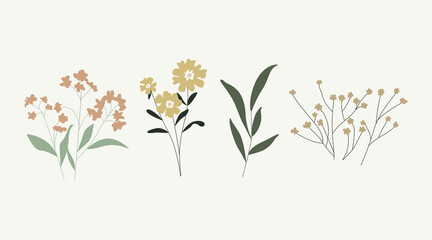 Collection of wild and garden blooming flowers isolated on bright background. Vector bundle of bouquets. Set of decorative floral design elements.