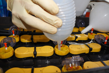 Adjust the battery water