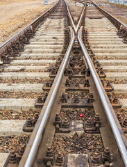Frog (common crossing) of rails on the Trans-Siberian Railroad. Close-up.