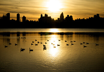 Fototapeta premium city skyline at sunset