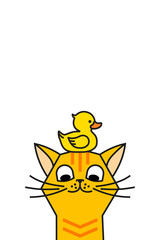 Cat with yellow rubber duck. Cat and duck