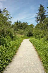 Fototapeta na wymiar Hiking trail through a forest park on sunny summer day