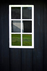 window with green grass