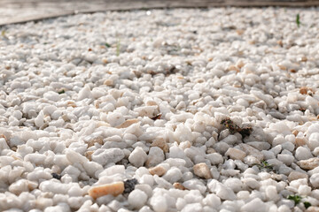 Background of small white stones