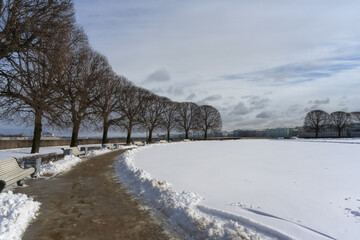 Urban park landscape in early spring. The park is rounded in the snow, a curved path with melted spring snow and branchy old linden trees in a row. Vasilievsky Island in St. Petersburg (Russia) 