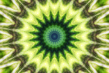 Circule abstract green background