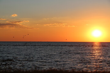Fototapeta na wymiar beautiful sunset with water and birds