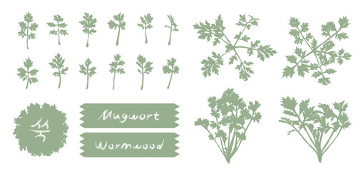 [Vector] monochromatic realistic mugwort outlines and handwriting