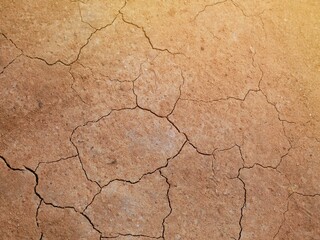 The ground is dry and fissured.