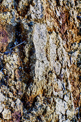 
Rock, cracks textured harrow