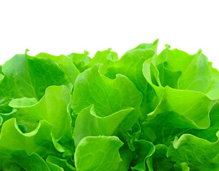 Fresh green salad isolated on a white background