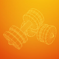 Dumbbells Gym equipment. Bodybuilding, powerlifting, fitness concept. Wireframe low poly mesh vector illustration