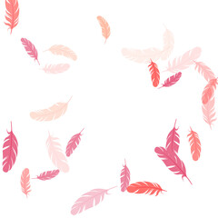 Falling feather elements soft vector design.