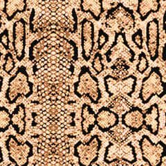 Animal print, snake skin texture background
