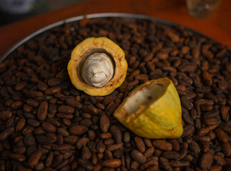 cacao
