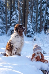 Plush toy and hunting dog in winter forest